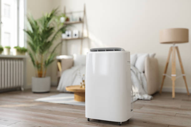 Best Ductless Mini-Split Systems in Live Oak, TX